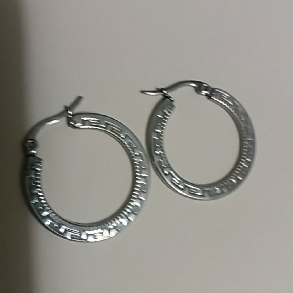 Stainless steel hoop earrings